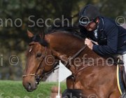 Le Jeune Farouk TosTour 2013- S5 3282 : Arezzo Equestrian Centre, Farouk de la Pomme, Le Jeune Philippe, Toscana Tour 2013, foto di Stefano Secchi ©